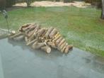 bois de chauffage, Jardin & Terrasse, Moins de 3 m³, Enlèvement, Autres essences de bois, Troncs d'arbres