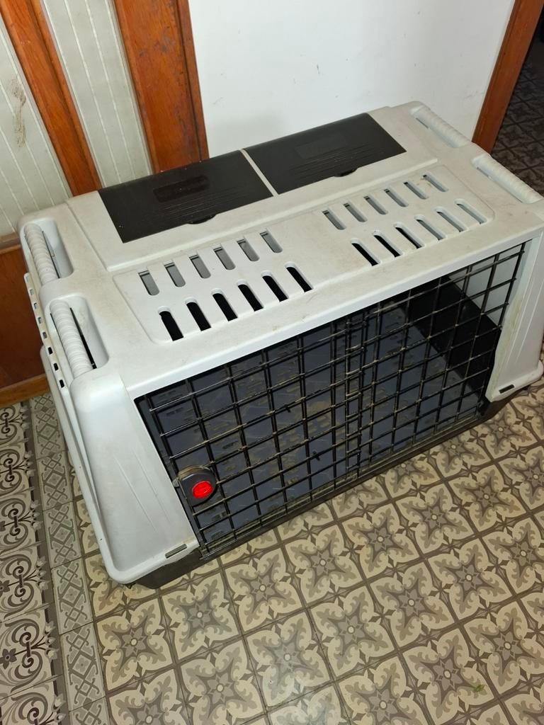 Cage chien, Dieren en Toebehoren, Ophalen