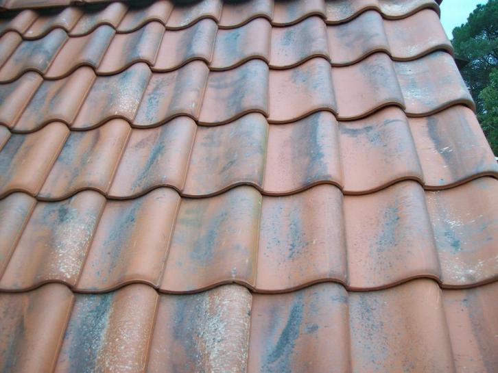 Dakpannen gezocht, Koramic Pottelberg 451 Vieilli rood, Doe-het-zelf en Bouw, Dakpannen en Dakbedekking, Nieuw, Dakpannen, Steen of Klei
