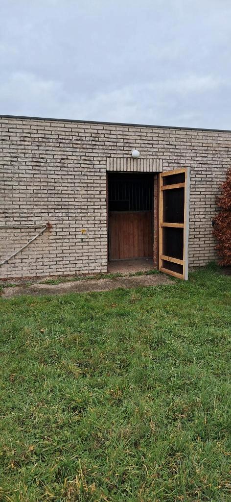 privé paardenstal met aanpalende weide te huur, Dieren en Toebehoren, Stalling en Weidegang, Stalling, Weidegang, 1 paard of pony
