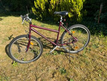 Mountainbike voor dames of kinderen beschikbaar voor biedingen