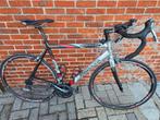 Racefiets Gianni Motta maat 56, Fietsen en Brommers, Fietsen | Racefietsen, Ophalen, Gebruikt, Carbon