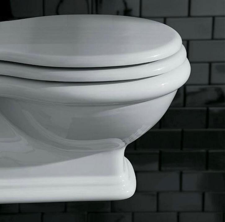 NIEUW klassiek sanitair toilet, bril en doorspoel drukplaat, Doe-het-zelf en Bouw, Sanitair, Nieuw, Toilet, Ophalen