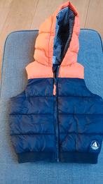 PETIT BATEAU, doudoune sans manche avec capuche. 10 mois, Kinderen en Baby's, Kinderkleding | Maat 140, Ophalen, Zo goed als nieuw
