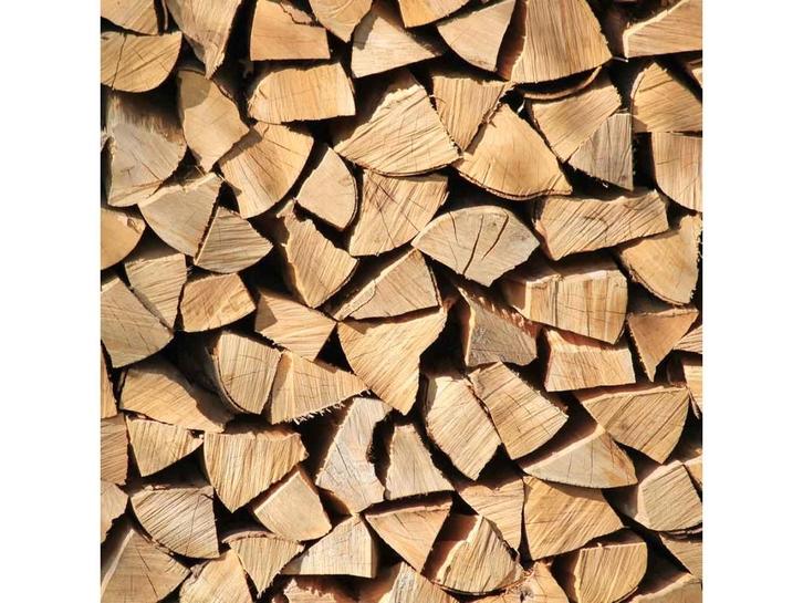 2 tot 3 jaar gedroogd brandhout, Tuin en Terras, Brandhout, Blokken, Ophalen