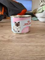 Baby natvoer kat, Dieren en Toebehoren, Ophalen, Zo goed als nieuw