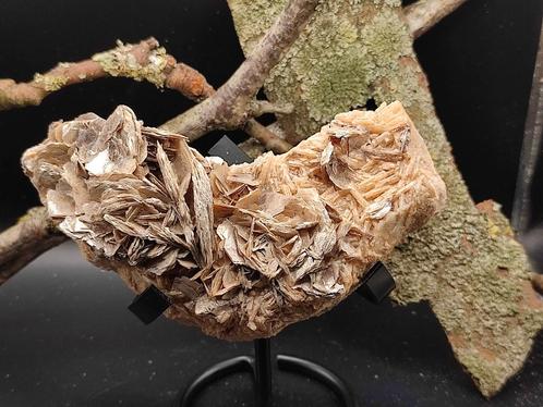 Muscoviet op Bariet. Edelstenen en mineralen, Hobby en Vrije tijd, Overige Hobby en Vrije tijd, Ophalen of Verzenden