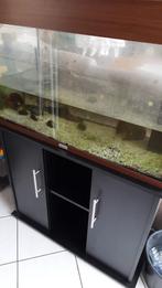 Dringend - Aquarium, Dieren en Toebehoren, Ophalen, Gebruikt, Leeg aquarium
