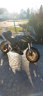 Triumph tiger 1050, Motos, Motos | Yamaha, Particulier