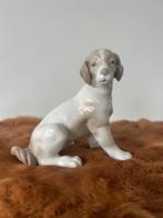 Nao Lladro zittende jachthond, Verzamelen, Ophalen, Zo goed als nieuw, Dier