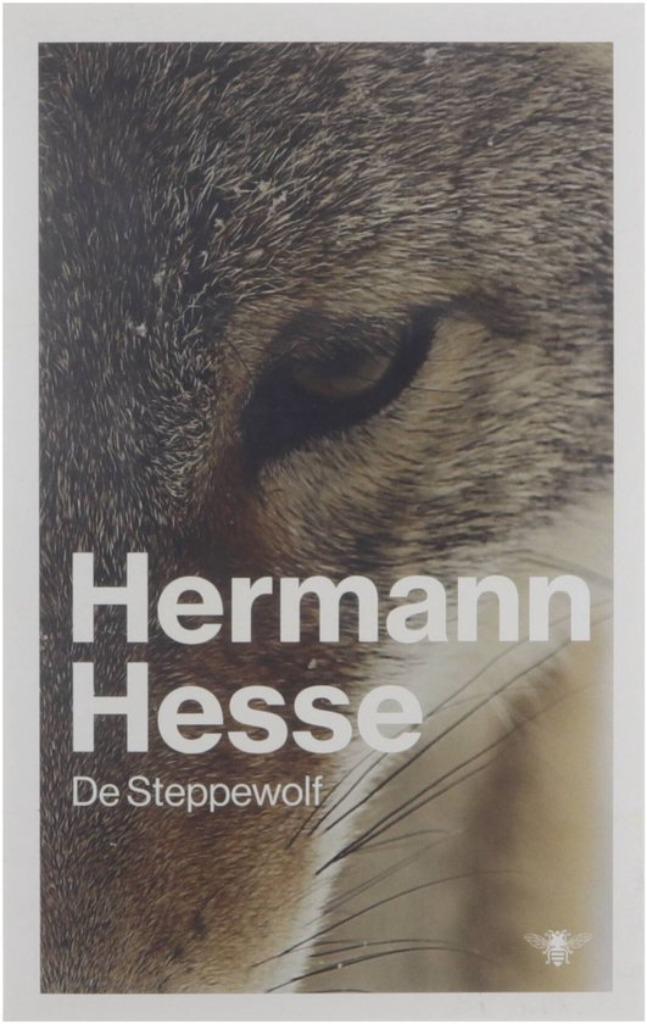 Te Koop Boek DE STEPPEWOLF Hermann Hesse, Boeken, Romans, Zo goed als nieuw, Europa overig, Ophalen of Verzenden