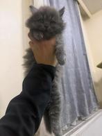 Man kat heel mooi, Vêtements | Femmes, Bonnets, Écharpes & Gants, Enlèvement ou Envoi, Comme neuf