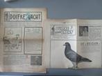 2 krantjes duiven Duifke Lacht 1952 -54 duivenliefhebbers, Boeken, Tijdschriften en Kranten, Verzenden, Zo goed als nieuw, Sport en Vrije tijd