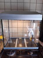 Superfish aqua 45, Ophalen, Gebruikt, Leeg aquarium