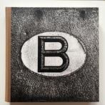 BELGICUM.  Stephan Vanfleteren en David Van Reybrouck, Boeken, Fotografen, Stephan Vanfleteren & David Van Reybrouck, Ophalen of Verzenden