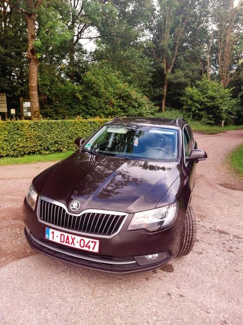 auto skoda, Hobby en Vrije tijd, Overige Hobby en Vrije tijd, Gebruikt, Ophalen of Verzenden