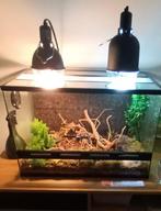 Terrarium, Dieren en Toebehoren, Ophalen, Zo goed als nieuw, Terrarium of Paludarium