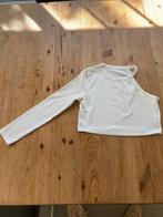 Truitje 1 lange mouw, Kleding | Dames, Topjes, Ophalen of Verzenden, Gedragen, Lange mouw