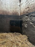 Hooibak, Dieren en Toebehoren, Weidegang, 2 of 3 paarden of pony's