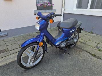 Honda wallaroo classe A  beschikbaar voor biedingen