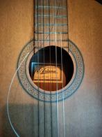 Gitaar, Muziek en Instrumenten, Ophalen