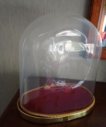 Vintage ovalen glazen stolp beschikbaar voor biedingen