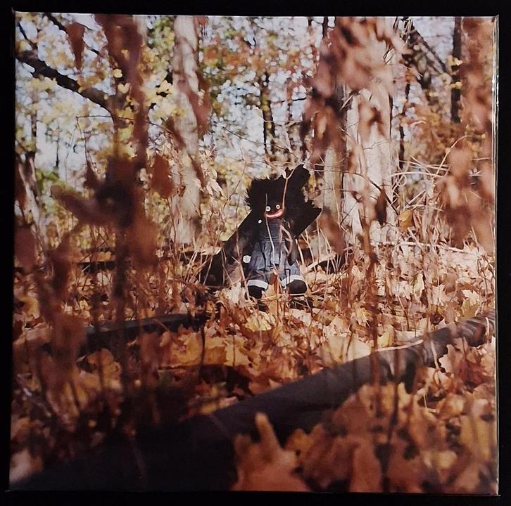 2LP Billy Woods - Golliwog (New - Sealed), CD & DVD, Vinyles | Hip-hop & Rap, Neuf, dans son emballage, 2000 à nos jours, 12 pouces