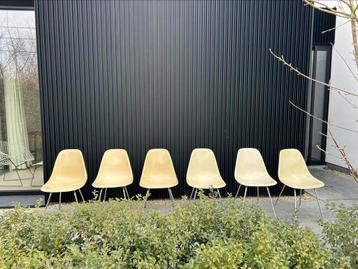 6 vintage Eames sidechairs in fibreglass - Herman Miller beschikbaar voor biedingen