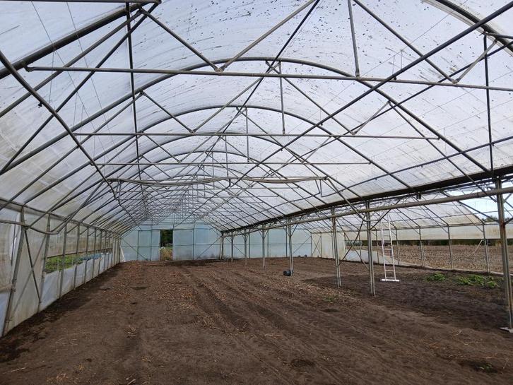 Serre Multikap Filclair, Tuin en Terras, Kassen, Gebruikt, Staal, Folie, Ophalen