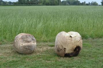 2 mooie zware bollen in teakhout beschikbaar voor biedingen