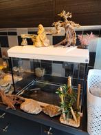 Aquarium platy 50. 60L met vele toebehoren, Dieren en Toebehoren, Ophalen, Gebruikt, Leeg aquarium