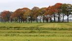 Weide onderhoud begrazing, Dieren en Toebehoren, Stalling en Weidegang