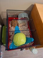 Hamsterkooi, Ophalen