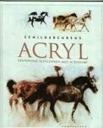 Schildercursus Acryl cantecleer 64 blz, Boeken, Ophalen of Verzenden, Zo goed als nieuw