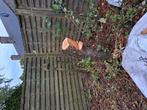 Gratis hout op te halen, Tuin en Terras, Ophalen, Zo goed als nieuw, Hout