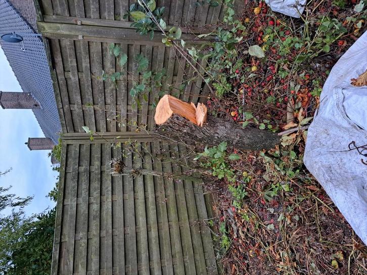 Gratis hout op te halen, Tuin en Terras, Terrasdelen en Vlonders, Zo goed als nieuw, Hout, Ophalen