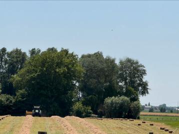 Hooi,kleine pakjes,balen,.. beschikbaar voor biedingen