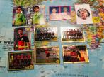 WK 2002 in Frankrijk - Panini-stickers (10 stickers), Ophalen