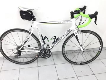 Cannodale synapse  beschikbaar voor biedingen
