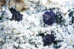 AZURIET kristallen op CHALCEDOON uit Chihuahua, Mexico, Verzamelen, Ophalen of Verzenden, Mineraal