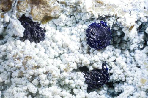 Cristaux d'AZURITE sur CHALCEDONE de Chihuahua, Mexique, Collections, Minéraux & Fossiles, Minéral, Enlèvement ou Envoi