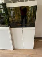 Aquarium lido 200, Dieren en Toebehoren, Ophalen, Zo goed als nieuw, Gevuld zoetwateraquarium