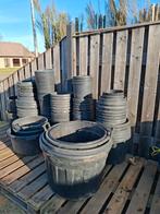 Bloempotten, Ophalen