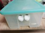 Tupperware nieuw, Huis en Inrichting, Ophalen of Verzenden, Nieuw