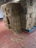 Kleine hooi balen, Dieren en Toebehoren, Dierenvoeding, Ophalen, Overige soorten