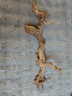 Bois pour terrarium ou garniture, Animaux & Accessoires, Enlèvement