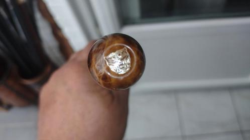 Riet (jaguar), Antiek en Kunst, Curiosa en Brocante
