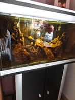 Aquarium 80 cm, Ophalen, Zo goed als nieuw