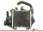 RADIATEUR Honda PCX 125 2013 (PCX125 JF47 ESP) (01-2013/-), Motoren, Gebruikt