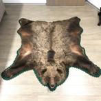 Bruine beer huid met gedetailleerd hoofd, Antiek en Kunst, Kunst | Overige Kunst, Ophalen of Verzenden